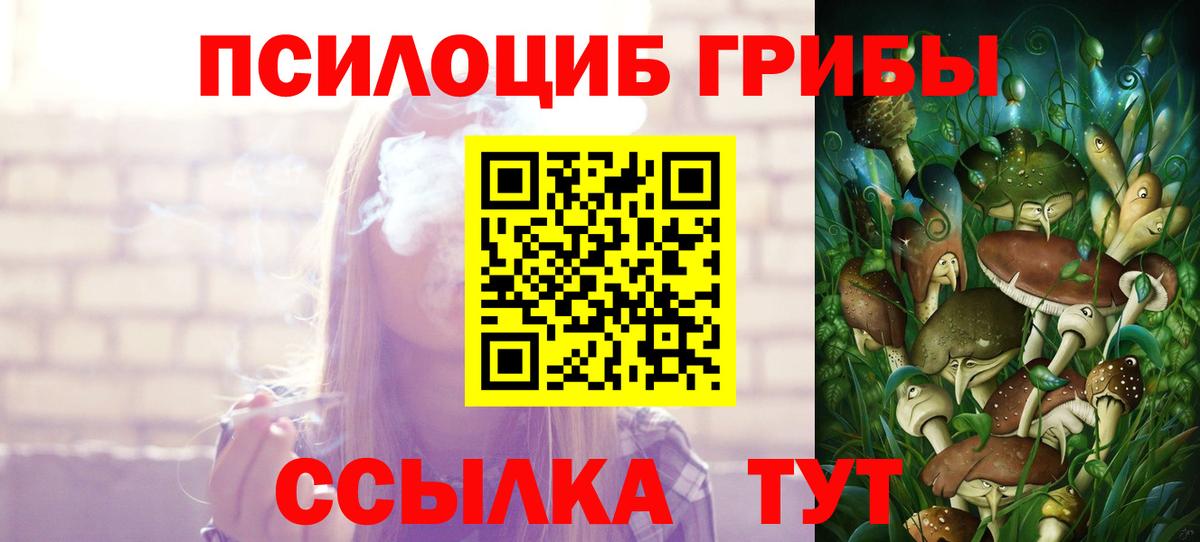 Псилоцибиновые грибы Cubensis Нефтекумск