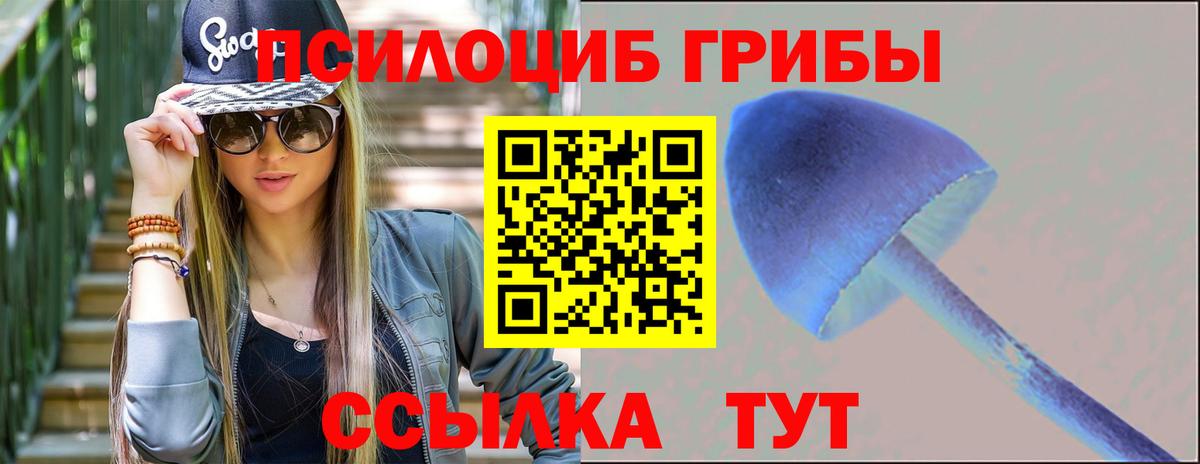 Галлюциногенные грибы прущие грибы  Вход с VPN  Нефтекумск 